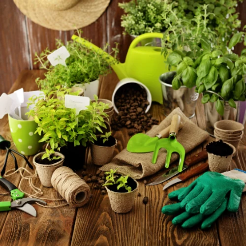 A cozy gardening still life with potted herbs, a bright green watering can and hand trowel, seed pot, twine, and gloves on a rustic wooden table.